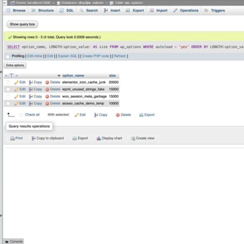 Database view showing bloated wp_options table with large autoloaded entries before cleanup.
