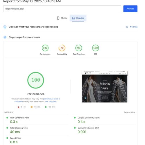 Desktop PageSpeed Insights result after optimization – 100 score for milanis.top