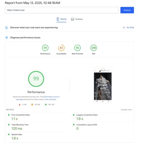 Mobile PageSpeed Insights result after optimization – 99 score for milanis.top